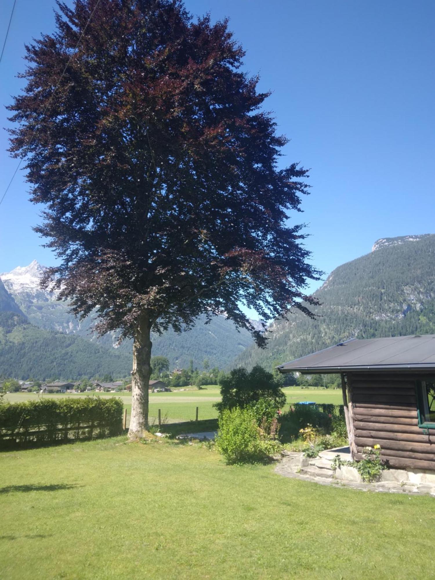 Chalet Scheffsnoth ローファー エクステリア 写真